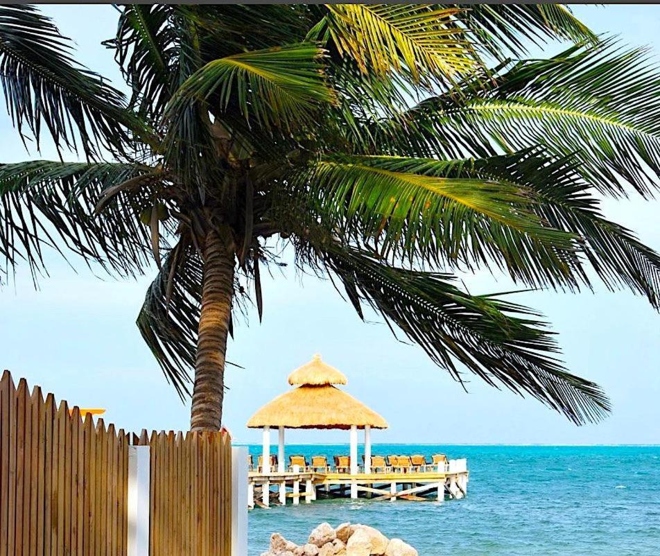 Вілла Velento Oceanfront #2 Кей-Колкер Екстер'єр фото